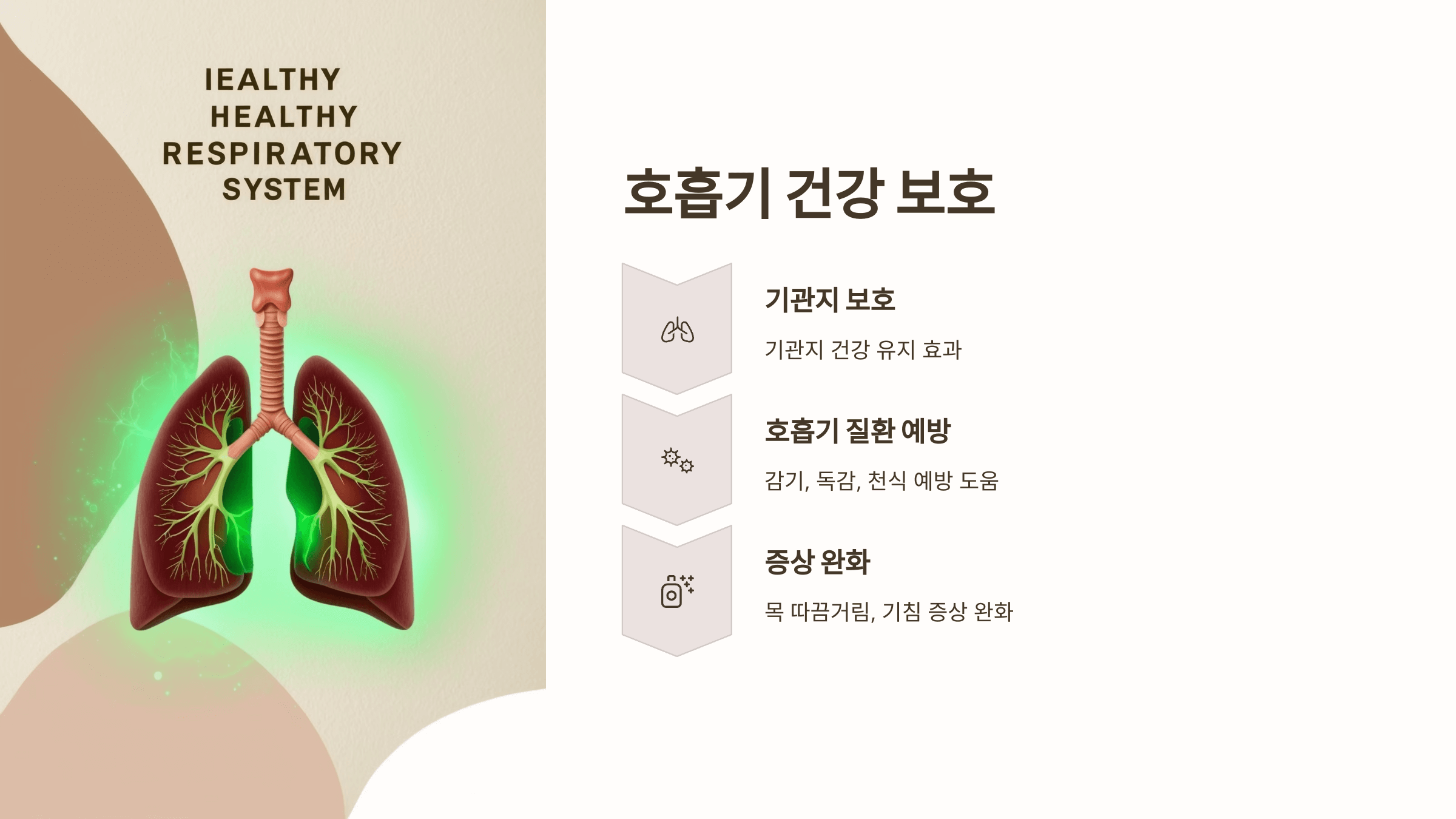 프로폴리스와 관련된 사진입니다.