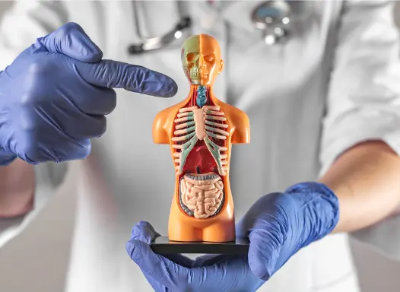 갑상선 기능 항진증 증상 및 원인 치료방법