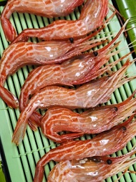 꽃새우