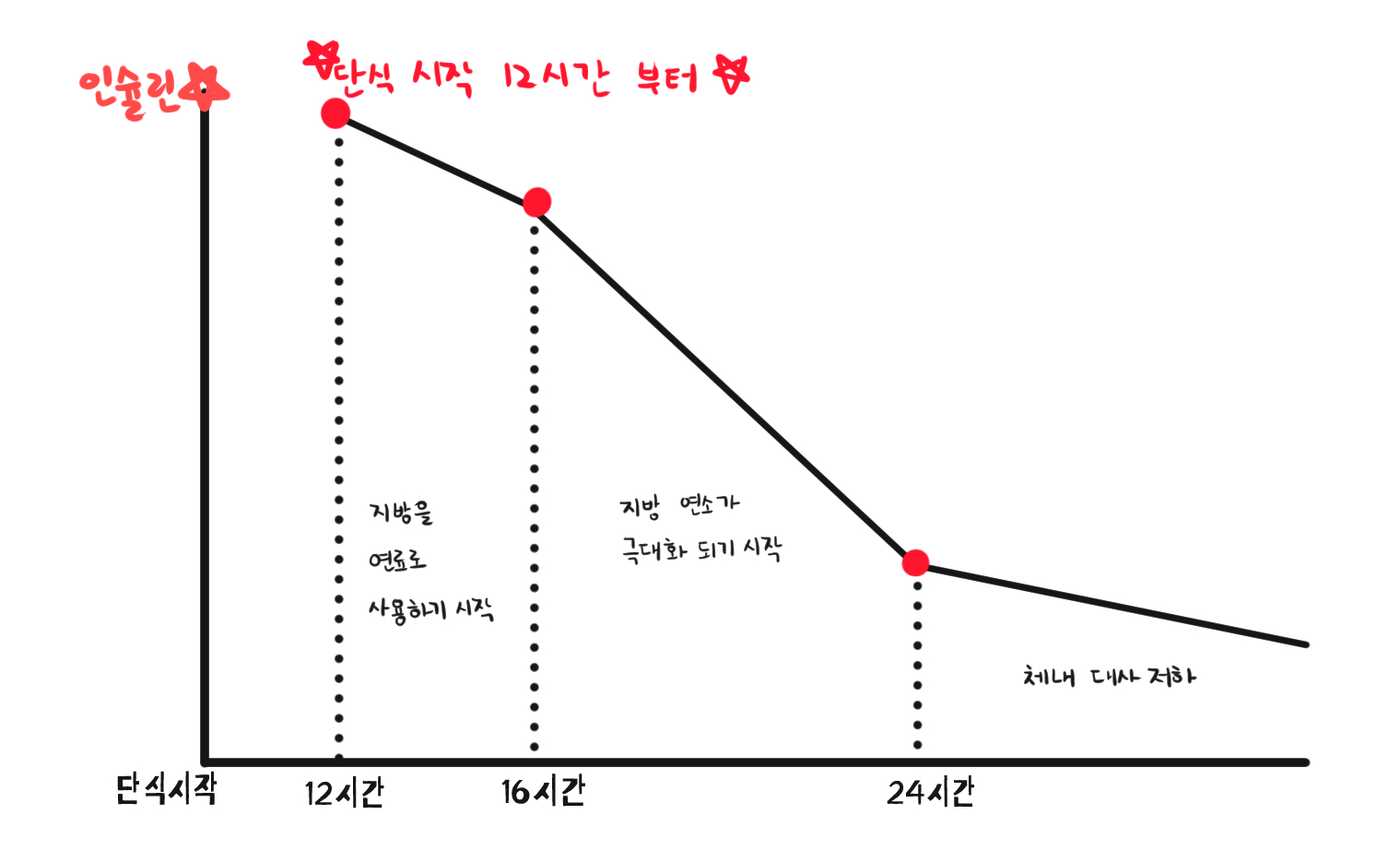 간헐적단식-인슐린변화