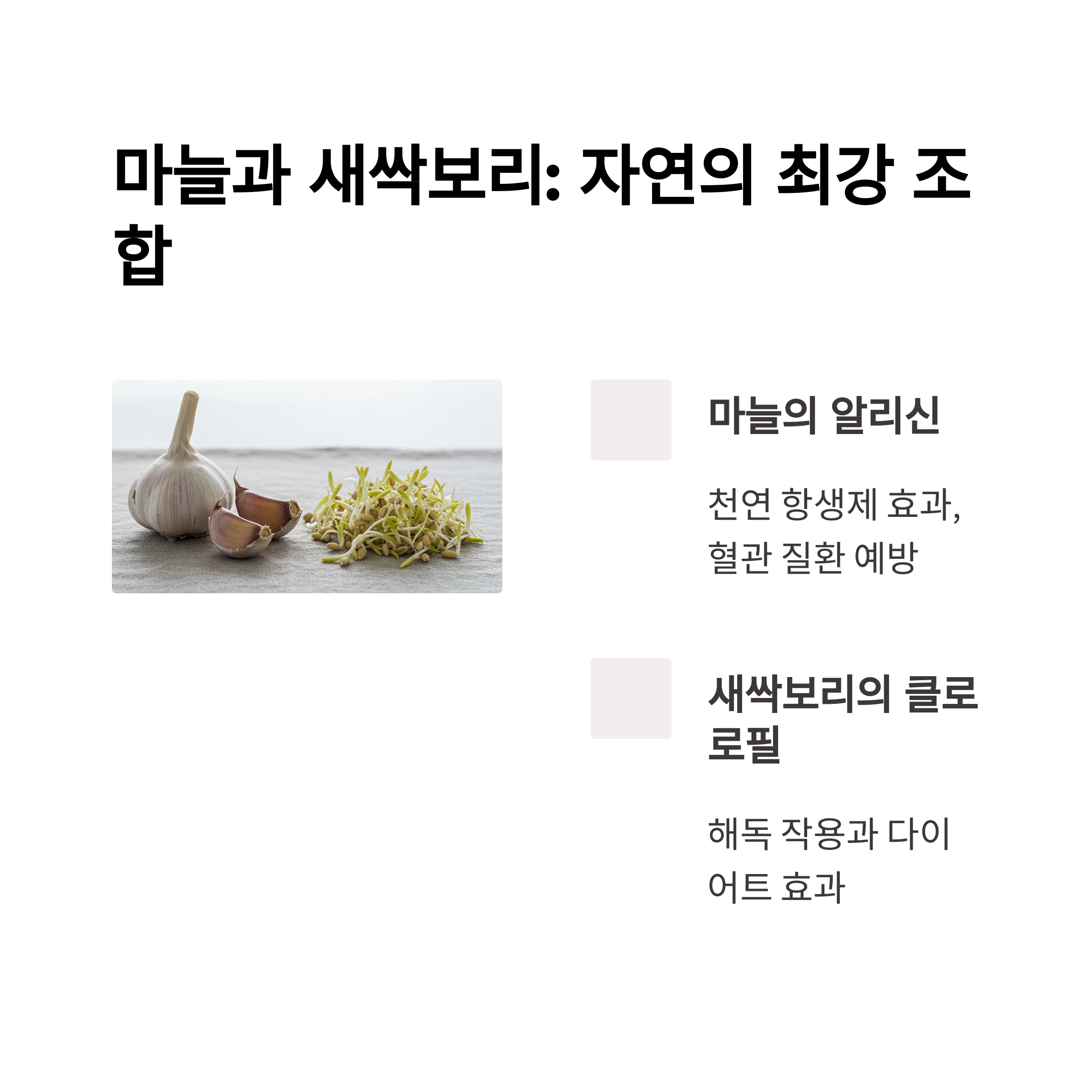 마늘: 항생제보다 강한 항균 작용