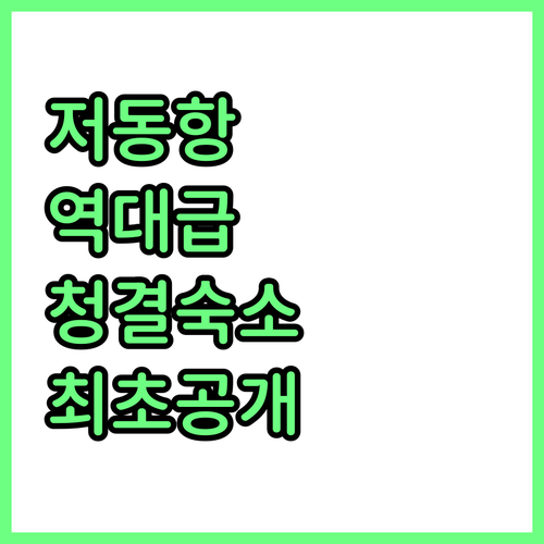 울릉도 자유여행 저동항 인근 깨끗한 ..