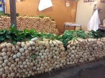 가락동 농산물 경매시세 실시간 확인 완벽 농산물 정보_18