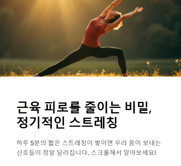 정기적인 스트레칭이 근육 피로를 줄이는 이유