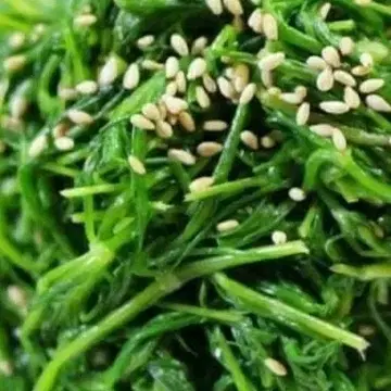 세발나물 효능 및 부작용