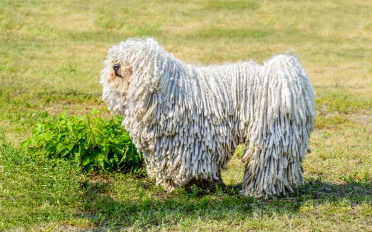 하얀 풀리의 옆모습.