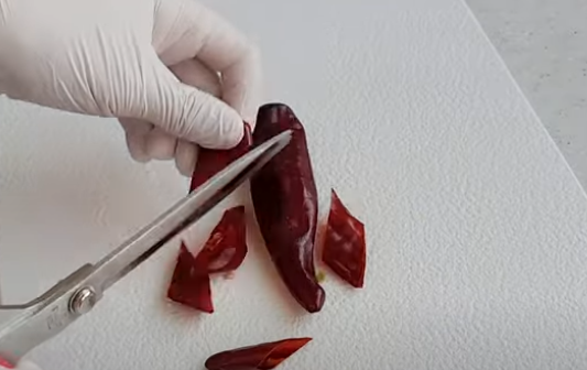 건고추 가위로 자르기