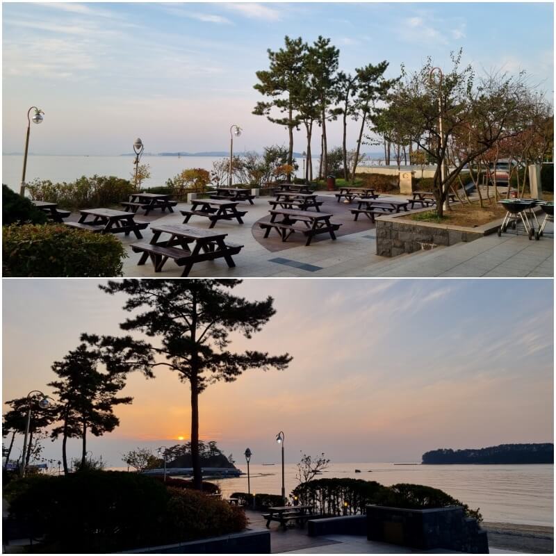 비체팰리스 셀프바베큐