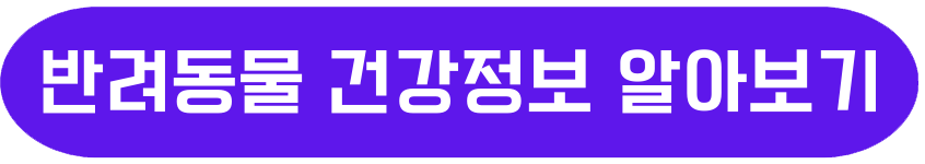 반려동물건강정보 알아보기
