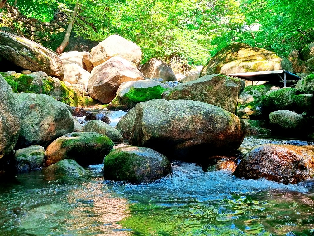 지리산 하동 쌍계사 계곡 신진식당 옆 신흥식당: 계곡 물놀이, 발 담그고 백숙 먹기