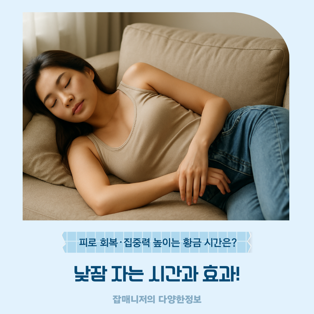 낮잠 자는 시간과 효과! 피로 회복·집중력 높이는 황금 시간은?