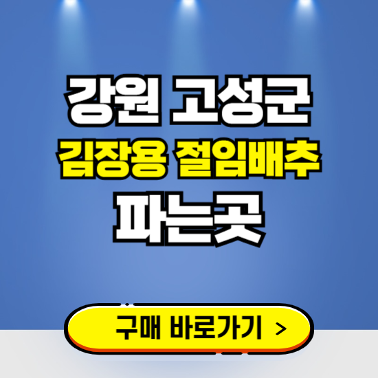 강원 고성군 절임배추 사전예약 구입하는곳 ❘ 김장배추 파는곳 가격보기