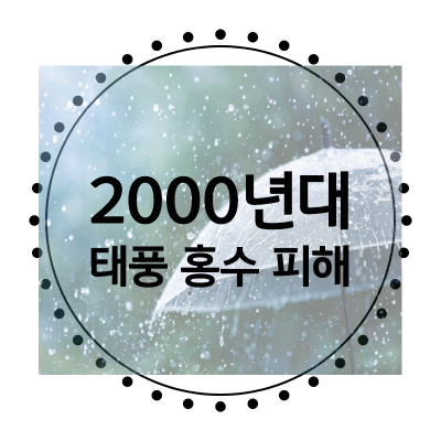 2002년대-태풍-홍수-피해-기사보러가기