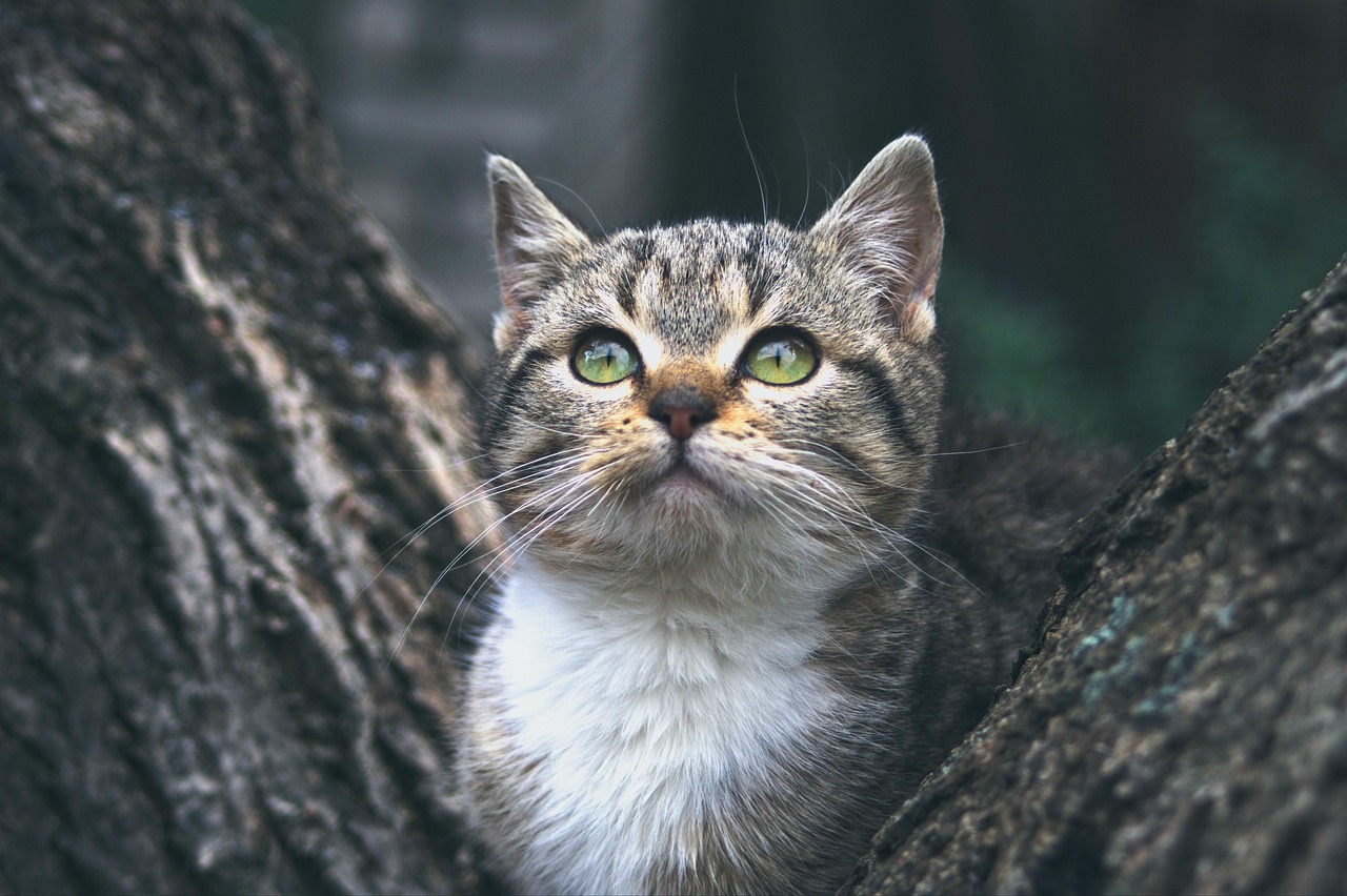 마음이 피곤할 때 발생하는 지출 패턴 분석