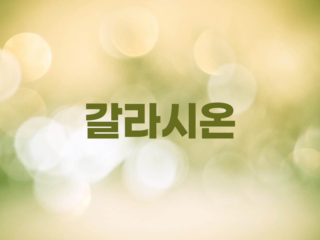 갈라시온 천주교 남자세례명