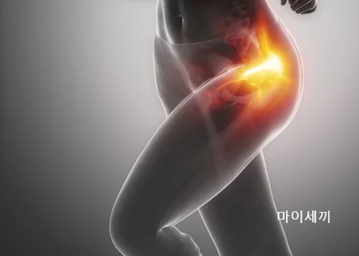 고관절 소리