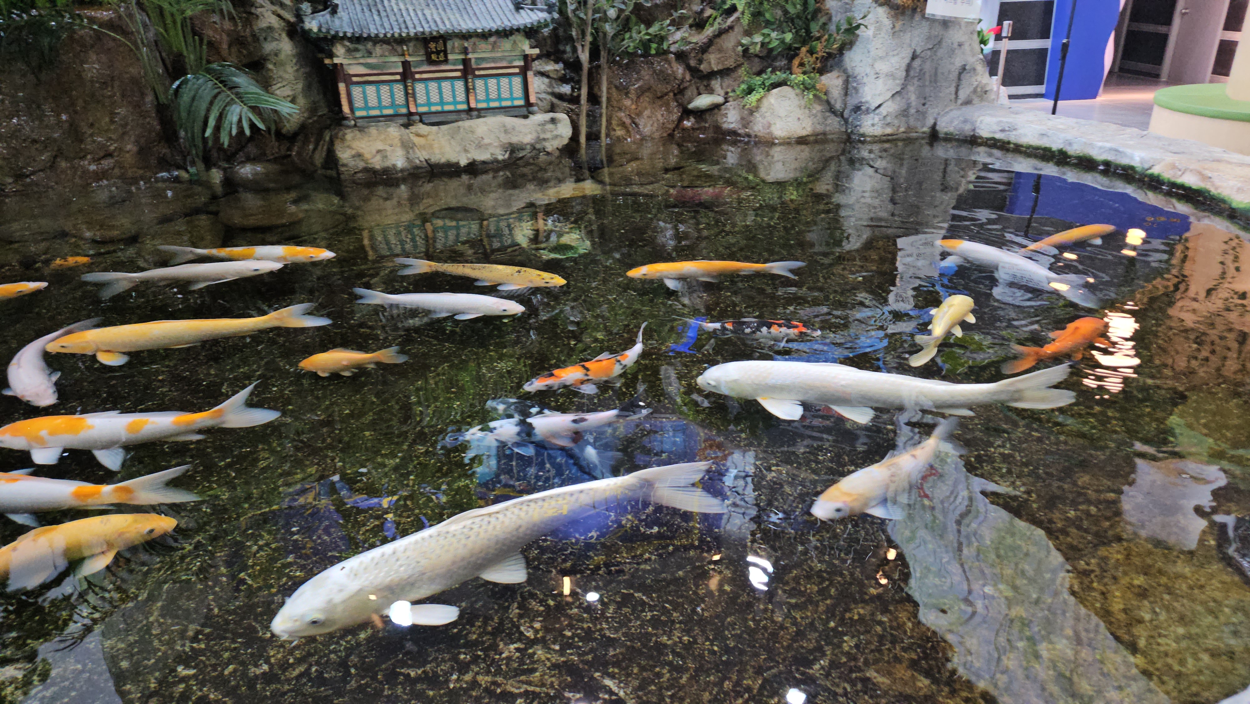 여수 해양박물관