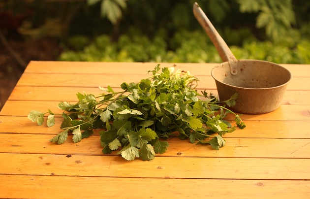 고대 치료법과 현대 의학의 융합