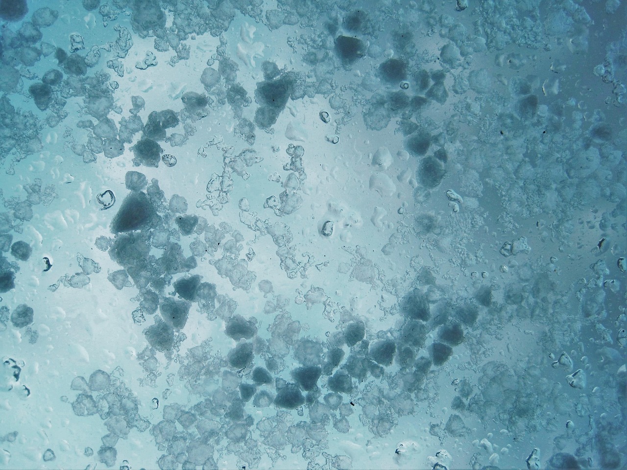 5월 인사말 모음! 40가지 꼭 전하세요