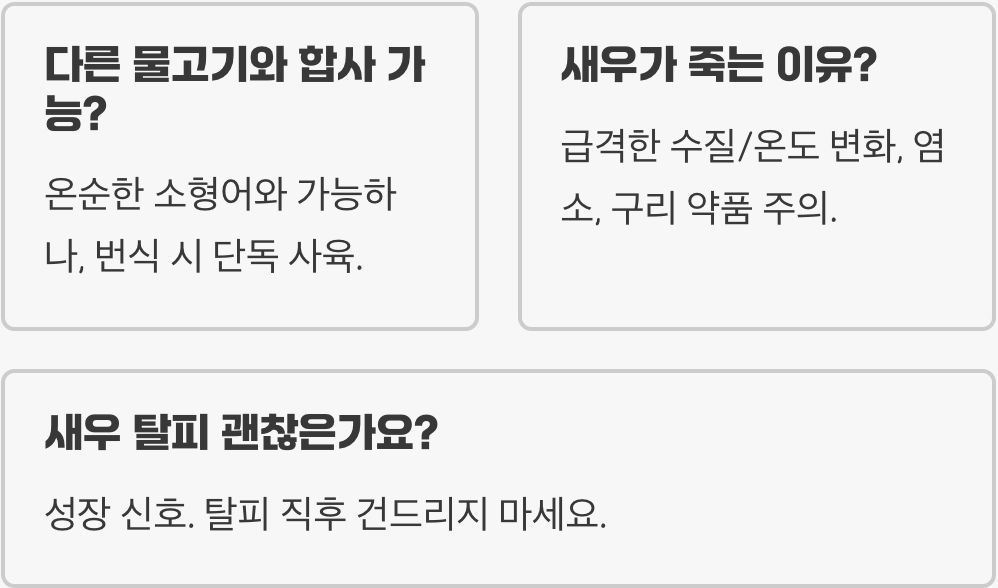 생이새우 키우기 A to Z (어항&amp;#44; 먹이&amp;#44; 수질 관리)