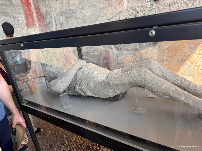 폼페이 화석이 된 사람