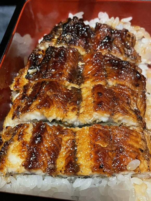 Shiny eel
윤기나는 장어