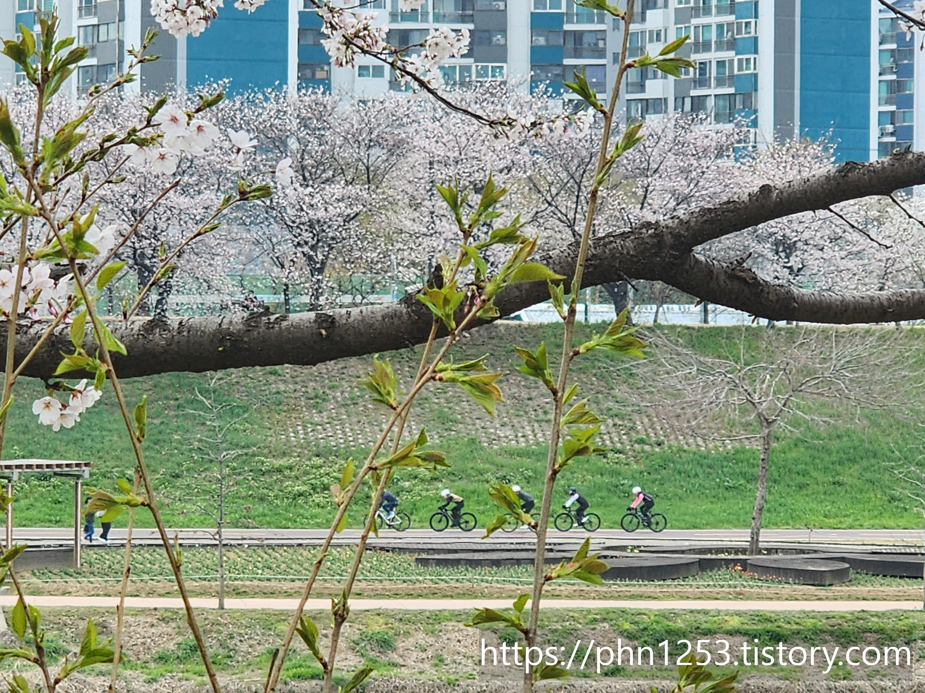 Alt 속성 문제 해결 설명 이미지