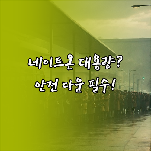 네이트온 대용량 파일 전송을 위한 안..