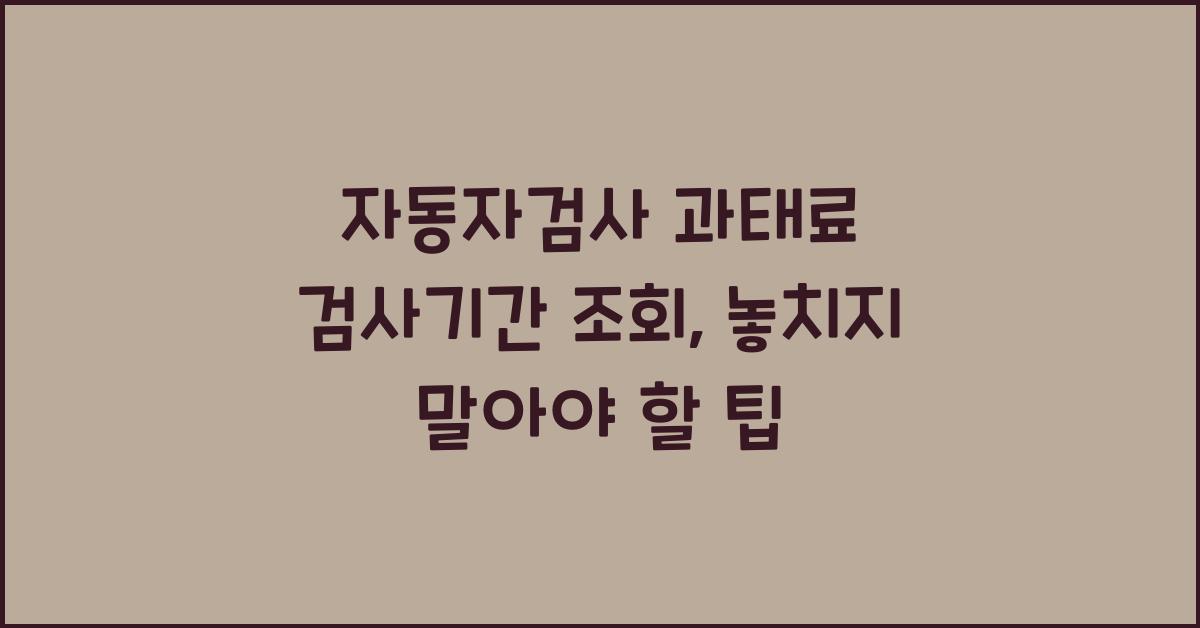자동자검사 과태료 검사기간 조회