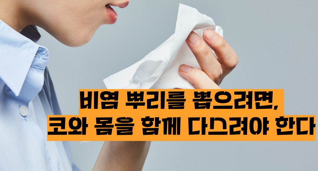 비염 뿌리를 뽑으려면