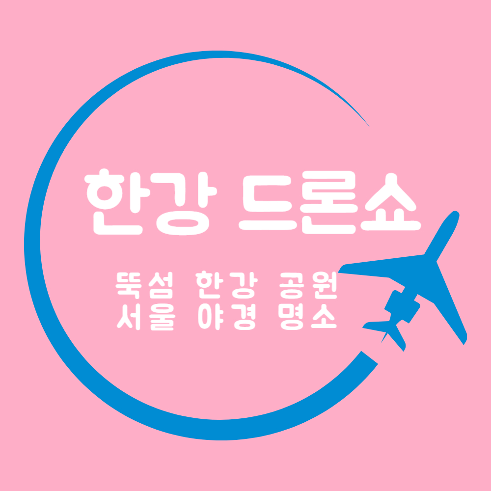 한강 드론 쇼 뚝섬 한강 공원