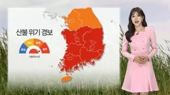 봄철 강풍 꽃가루 농도 알레르기 마스크 관리_4