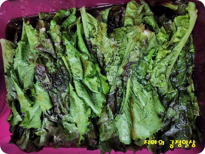 상추에 장아찌 소스부은 모습