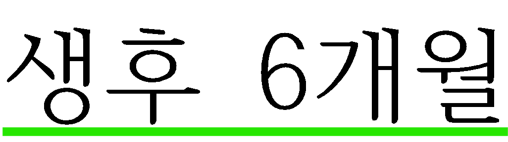 생후 6개월