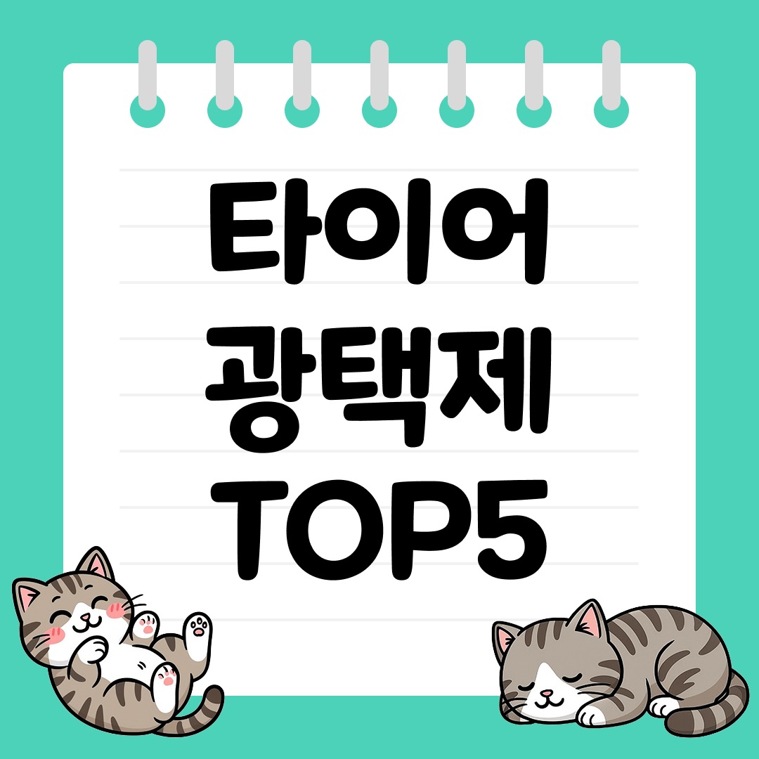 타이어를 새것처럼 만드는 타이어 광택제 추천 순위 TOP5