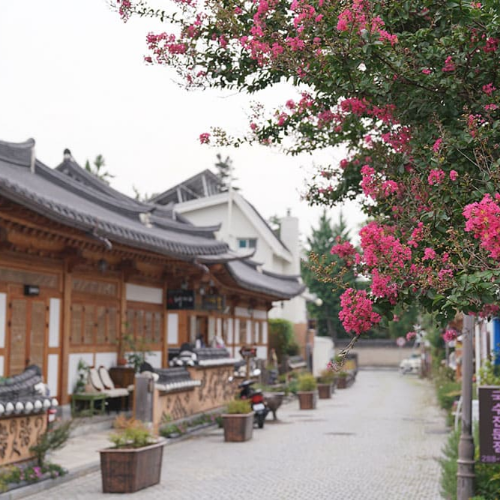 전주 한옥마을 추천 맛집 리스트 전주여행
