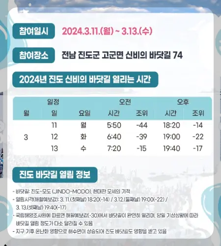 진도 신비의 바닷길 축제_9