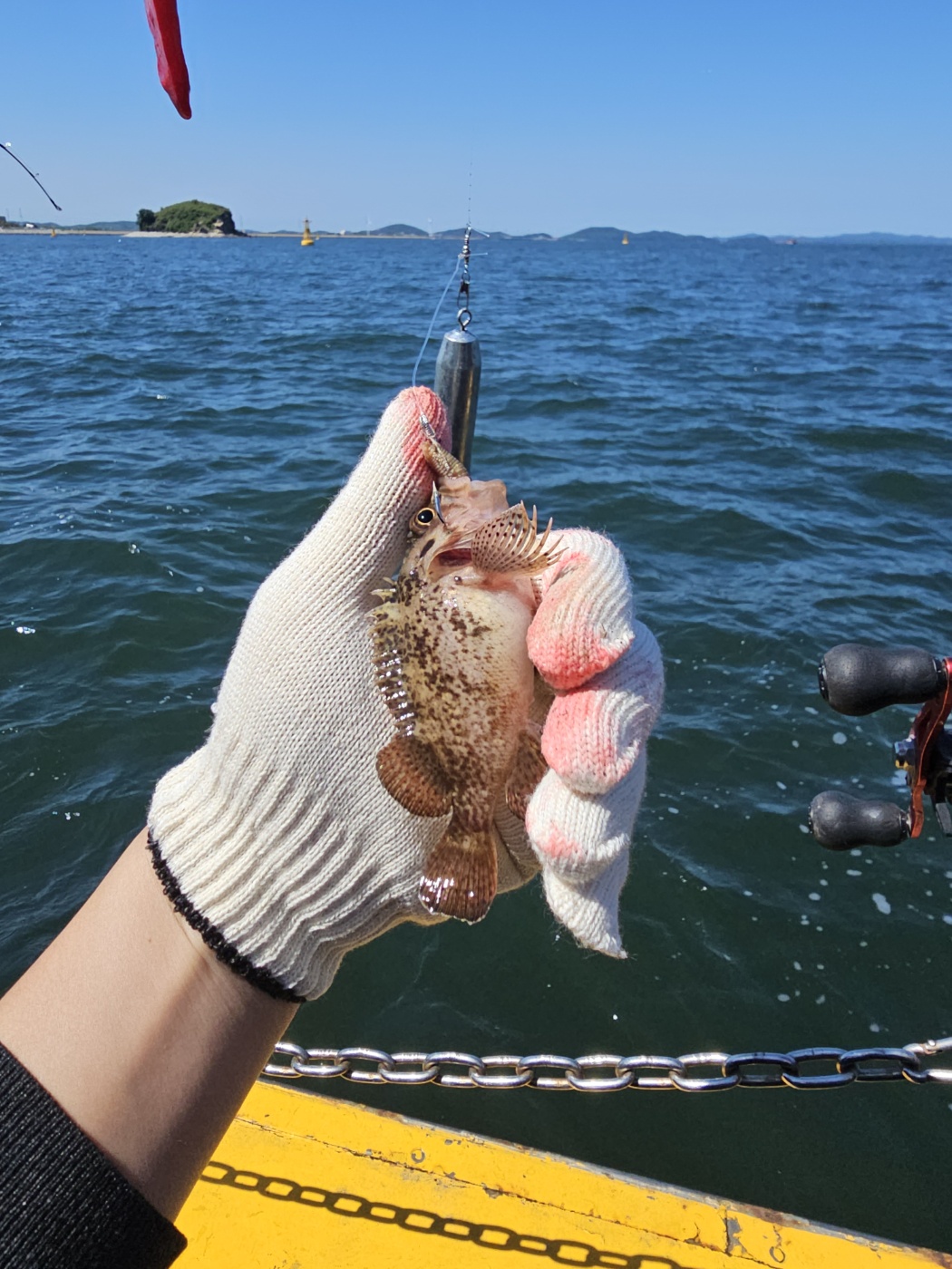 오이도(시흥 시화방조제) 배낚시 후기-Boat Fishing at Oido