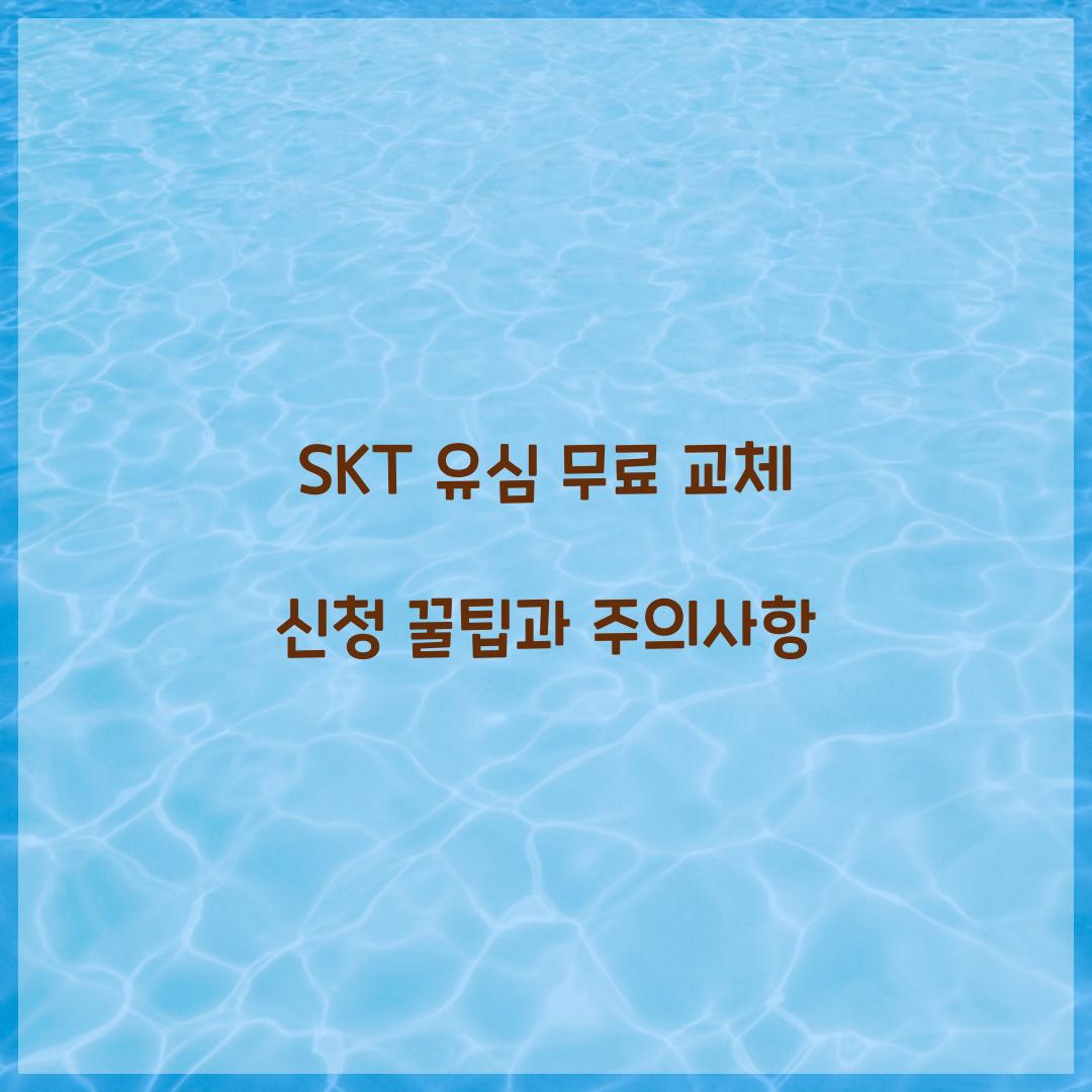 SKT 유심 무료 교체