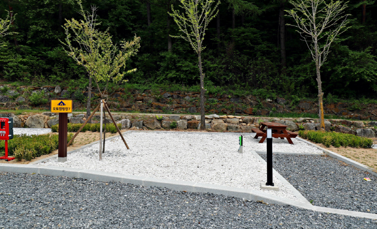 태백고원 자연휴양림