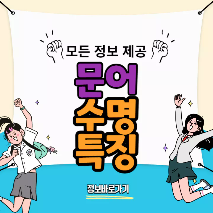 문어-수명-및-특징