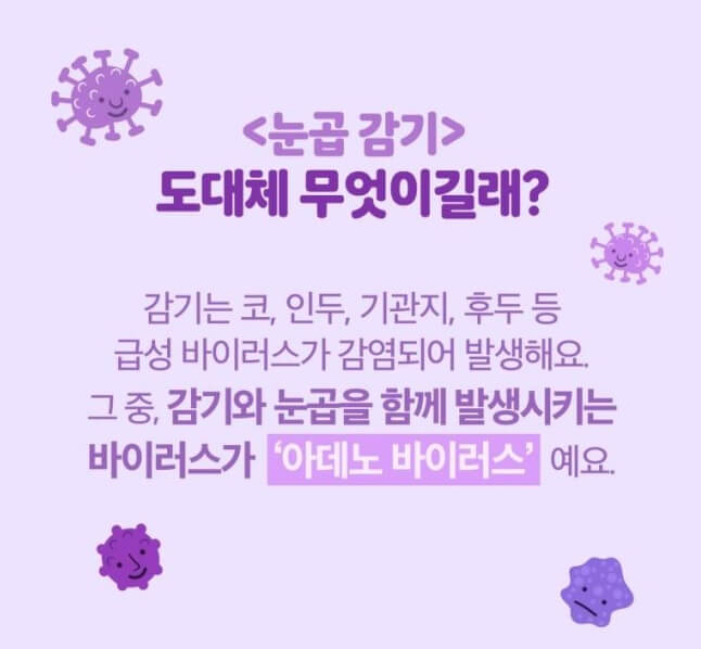 요즘 유행 아데노바이러스 열 호흡곤란및 성인 증상 치료 방법안내 썸네일