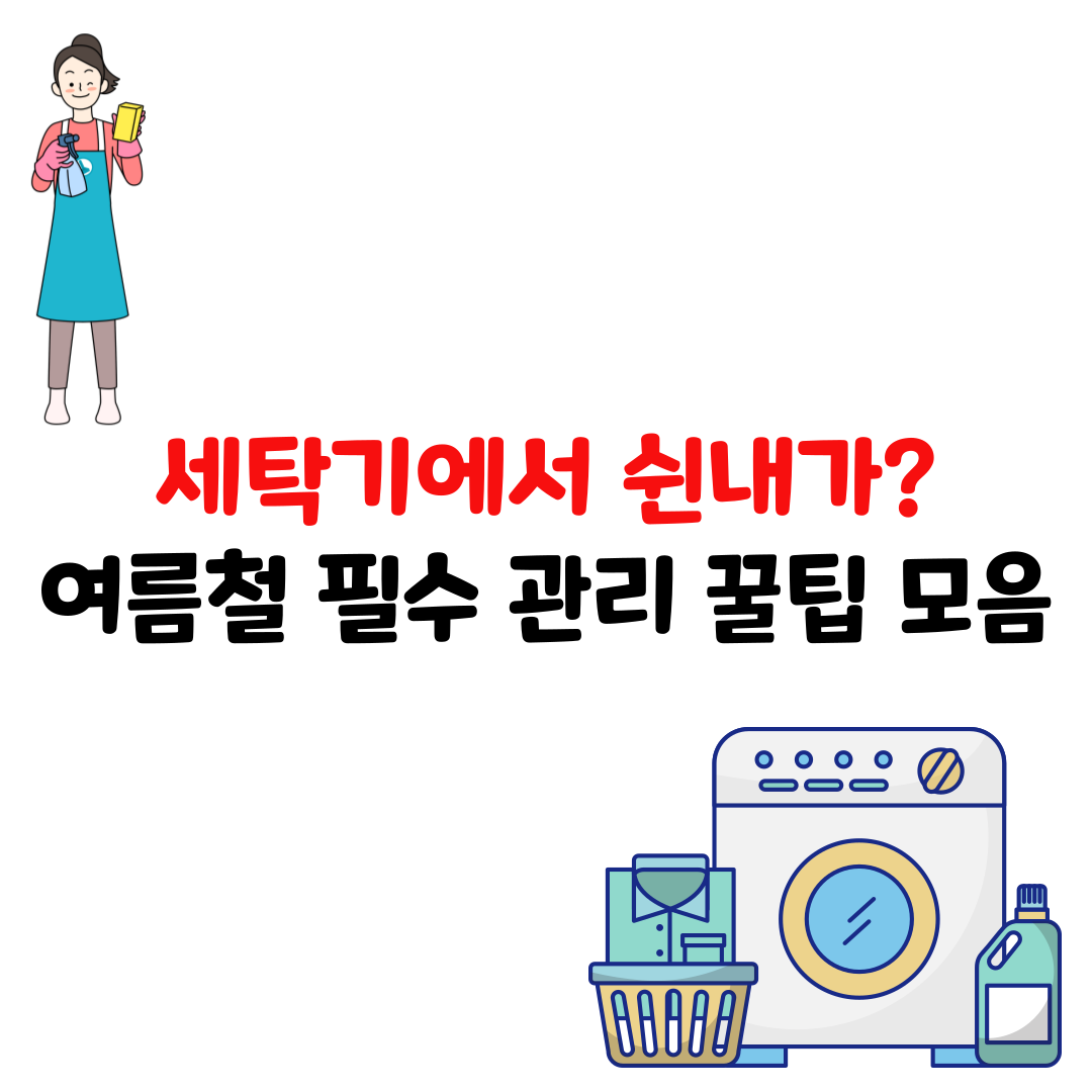여름철 세탁기 냄새, 이 한방이면 끝 – 재발까지 막는 꿀팁 정리