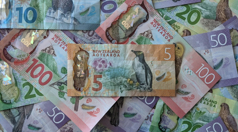 뉴질랜드 학비 사진