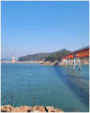 장자도
