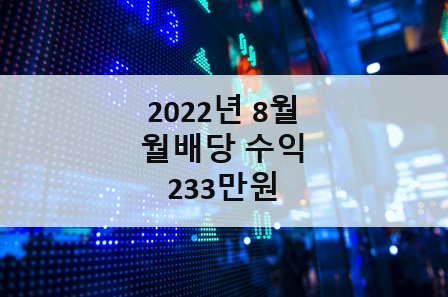 2022년 8월 배당수익 233만원