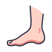 발이 차가운 이유