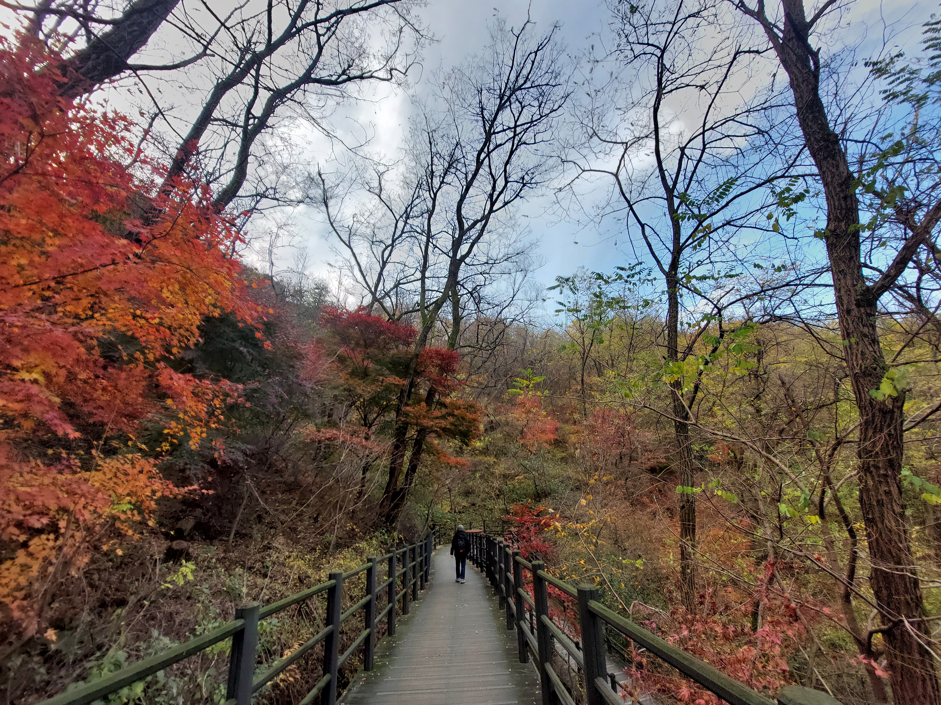 안산
