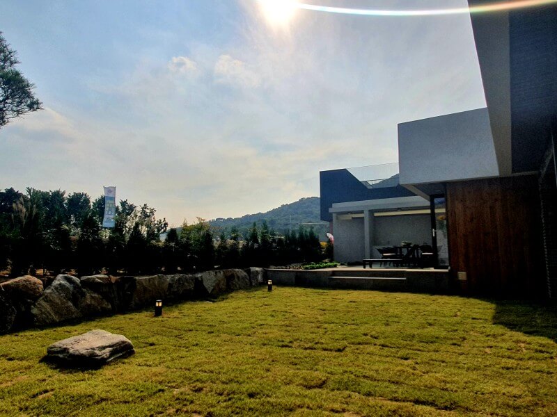 테라로사카운티 고양