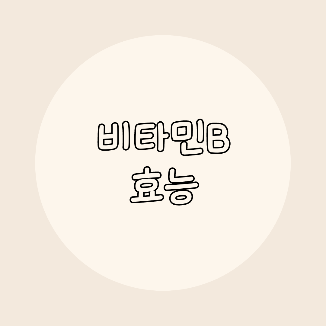 비타민b 효능